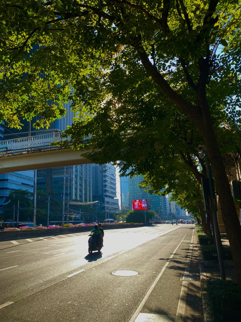 This image has an empty alt attribute; its file name is img_5796-1.jpg